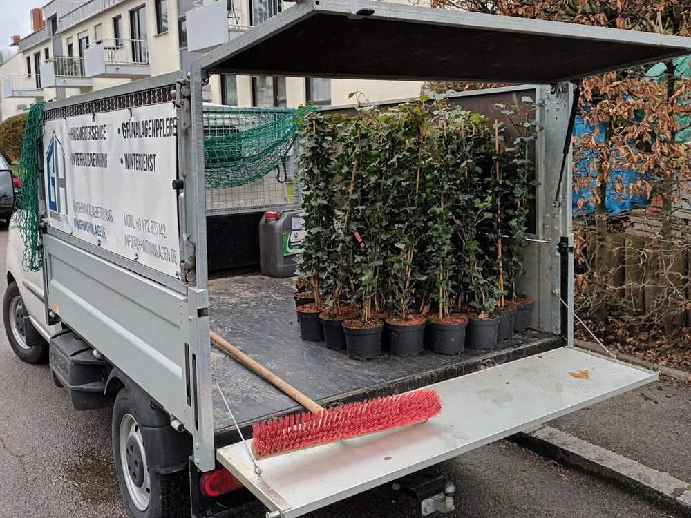 Pritsche voller Heckenpflanzen für eine Neubepflanzung